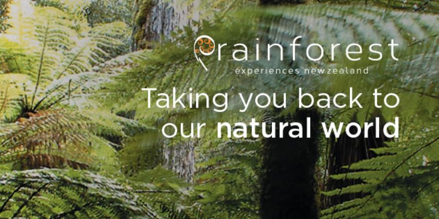 Rainforest Experiences New Zealand