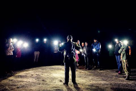 Kiwi night walk guide talking