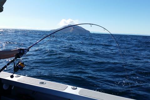 Fishing near White Island/Whakaari