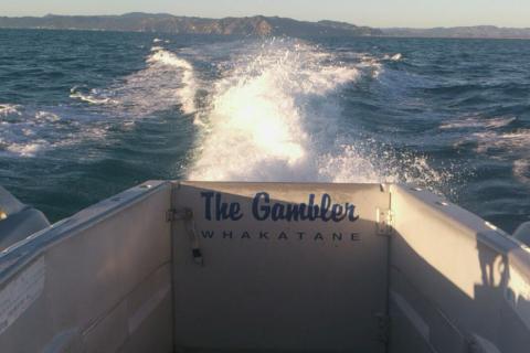 The Gambler - Fishing Charters Whakatane