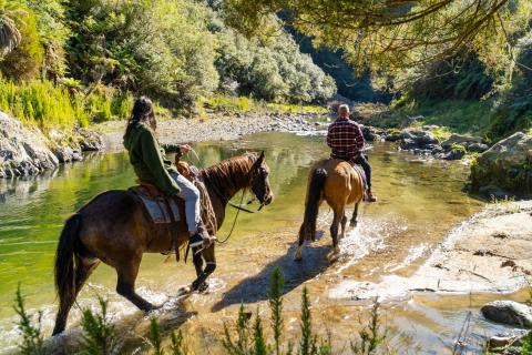 Manawa Honey - Horse Trekking - Bare Kiwi