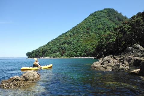 Kayak near Moutohora