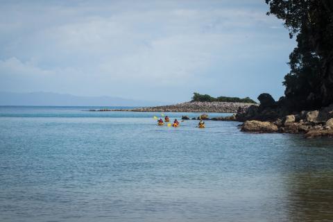 Kayakers at Moutohora