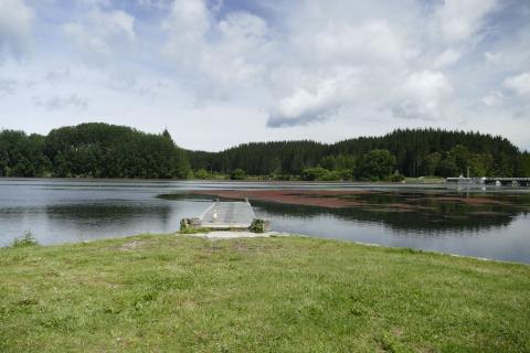 Lake Aniwhenua Jetty