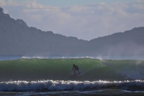 Surfer at the Heads
