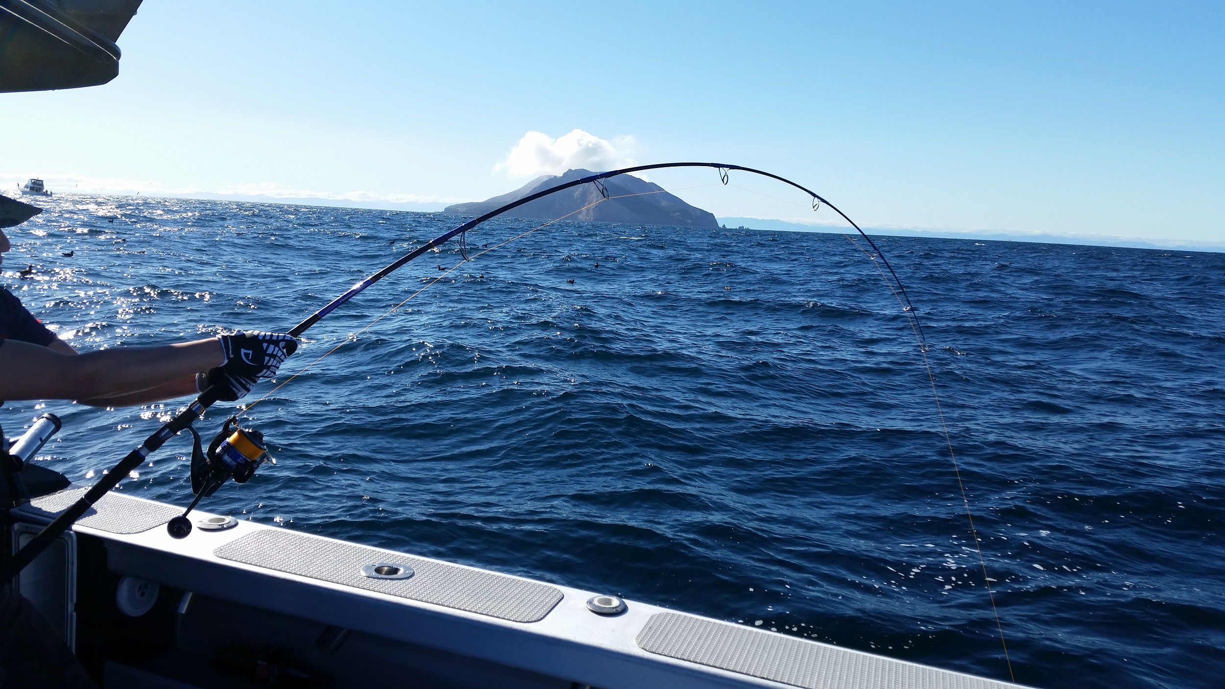 Charter Fishing Whakatāne NZ