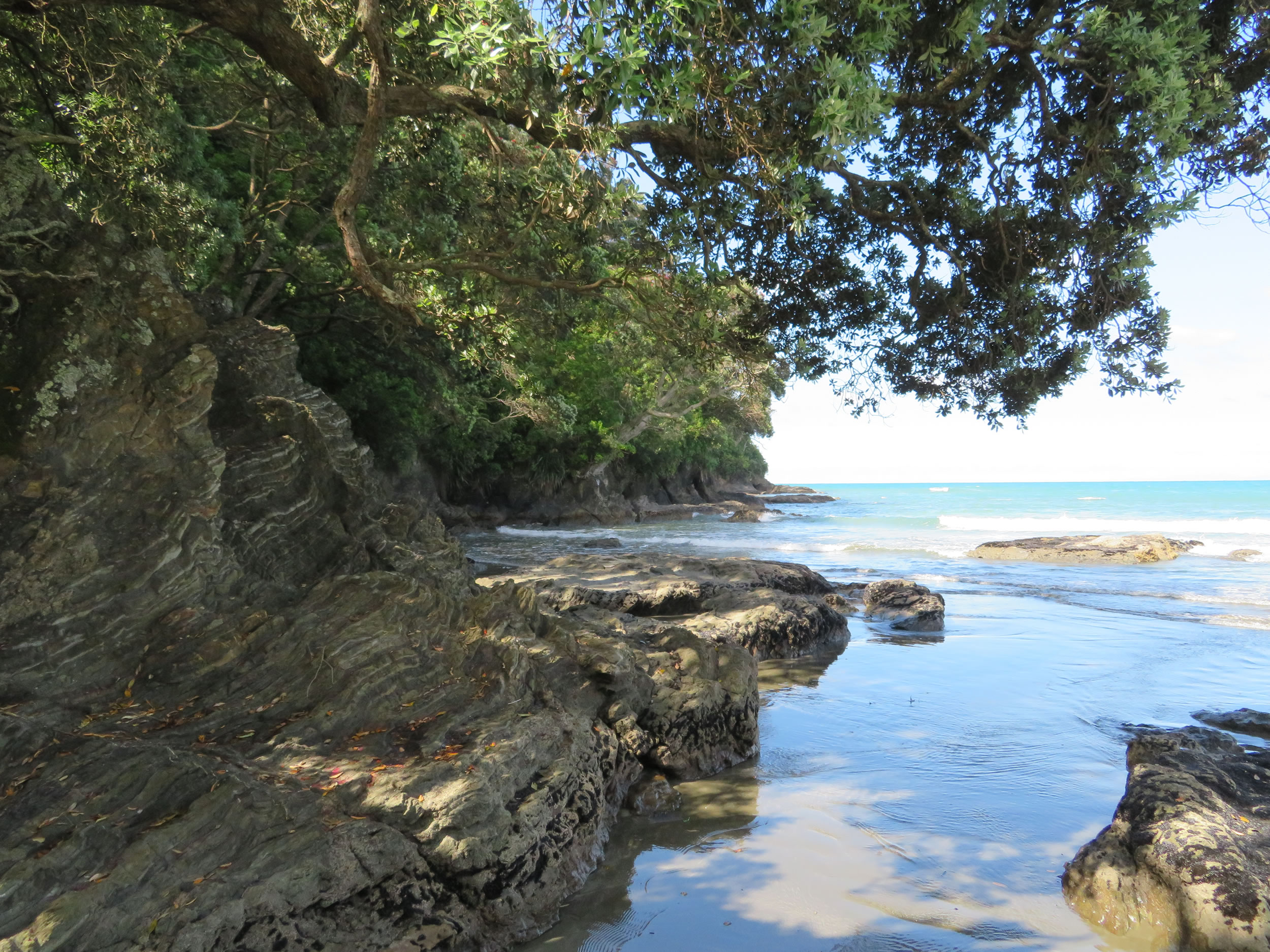 About the Whakatāne District Whakatāne NZ