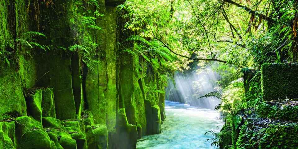 Te Whaiti Nui A Toi Canyon