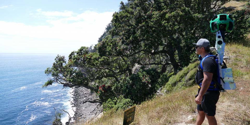 Trekker on Moutohorā / Whale Island