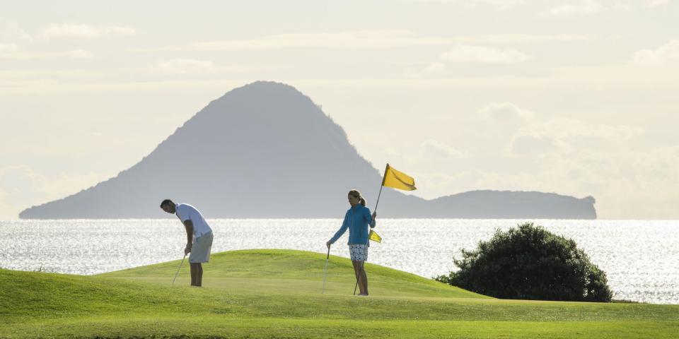 Golfers with Moutohora in the background