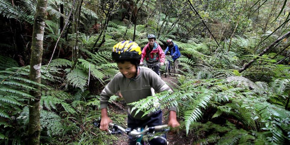 Family riding through bush