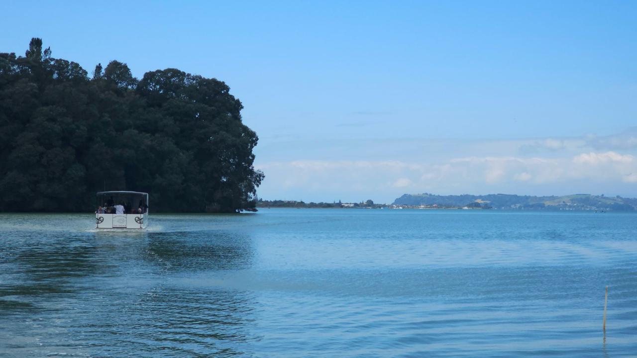 Tio Ōhiwa Oyster Farm Whakatāne NZ