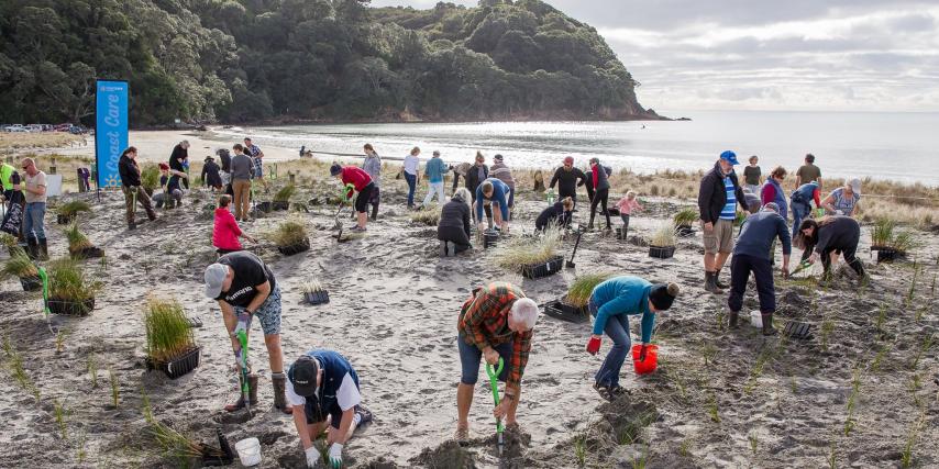 Dune Planting