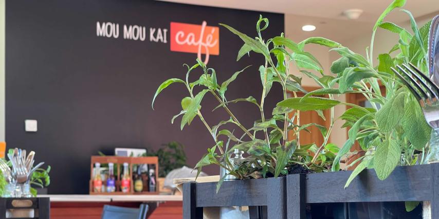 Mou Mou Kai Cafe - Te Kura Whare