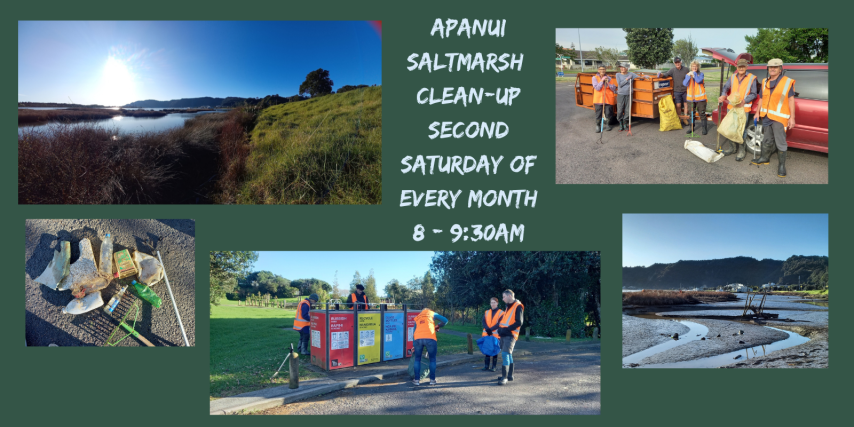 Apanui Saltmarsh Clean-up