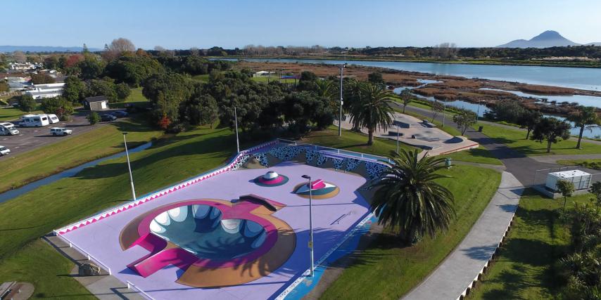 Aerial view of the skate park