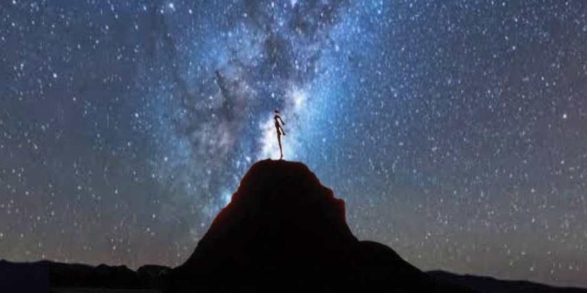 Matariki market 2024