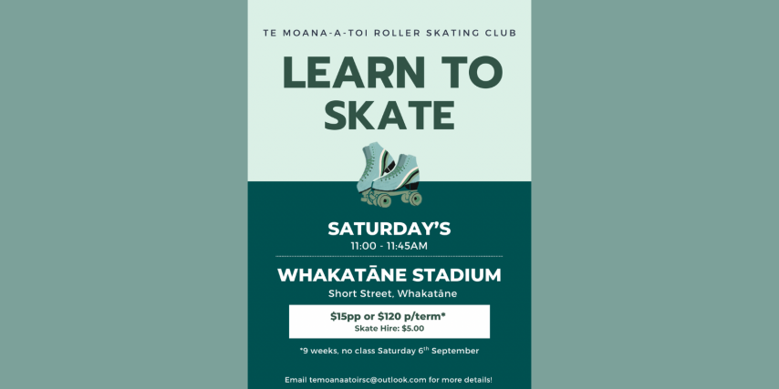 Learn To Skate Classes
