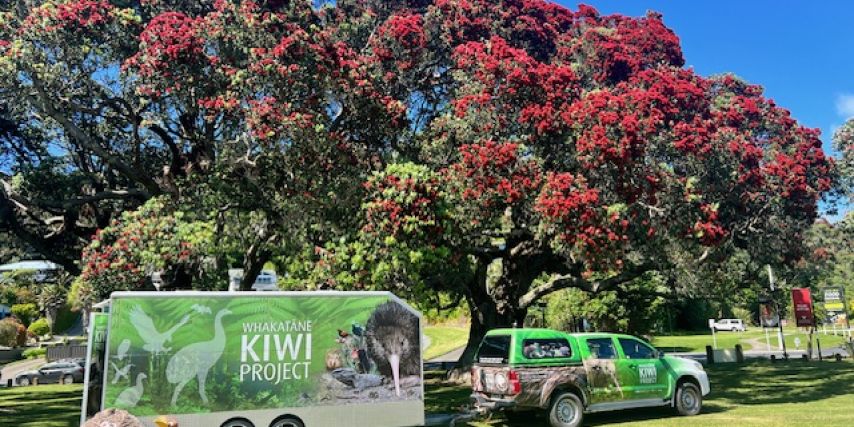 Kiwi Project Caravan