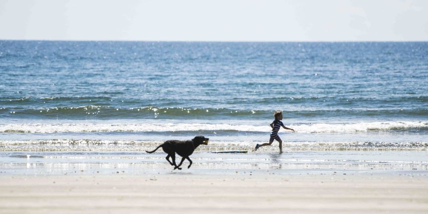Ōhope beach dog & child running