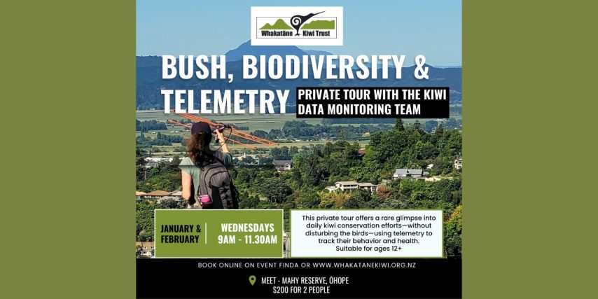 Bush, Biodiversity and Telemetry: Join the Kiwi Data Monitoring Team on a Guided Tour