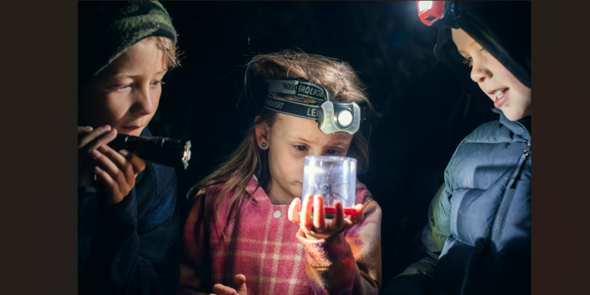 Whakatāne Kiwi Trust Kids Night Walk of Discovery