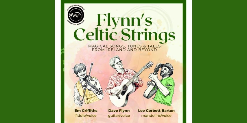 Flynn's Celtic Strings - Concert