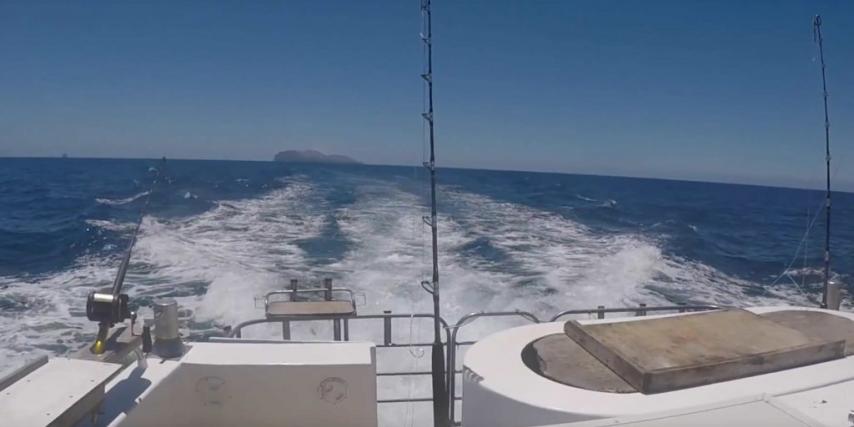 View of Whakaari from back of boat