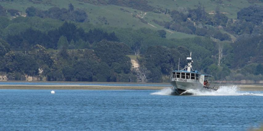 The Cougar on the harbour