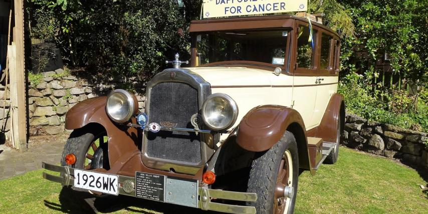Daffodil Day Car Rally for The Cancer Society