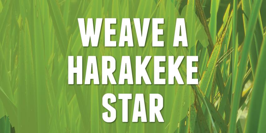 Weave a harakeke star
