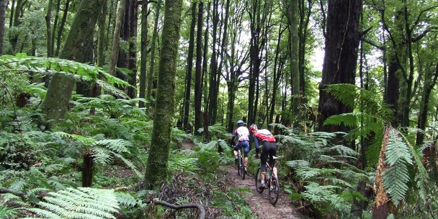 Riders on the Moerangi Track