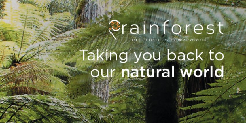 Rainforest Experiences New Zealand