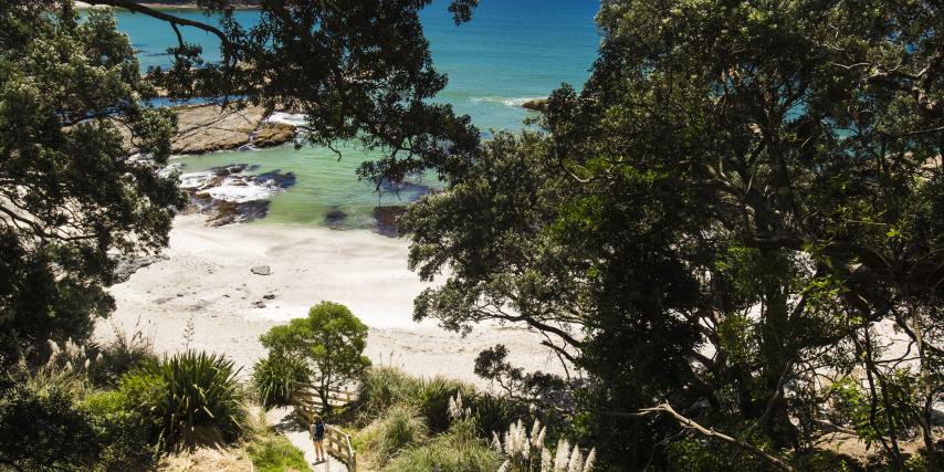 Walking access to Ōtarawairere Beach