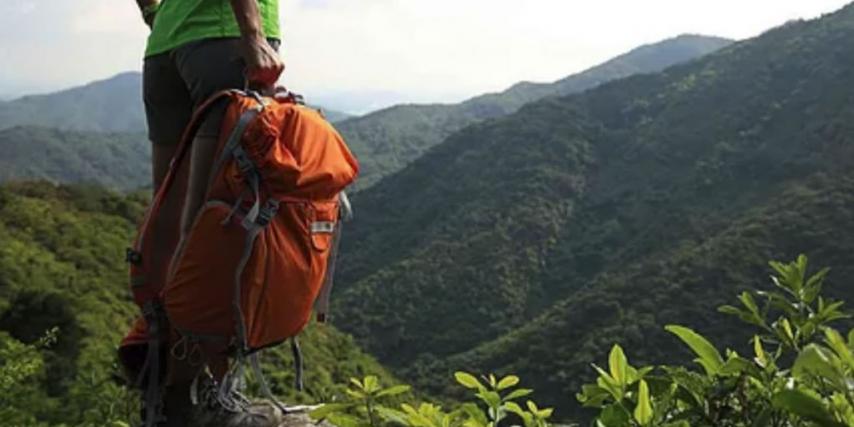 Person on mountain top looking out at bush