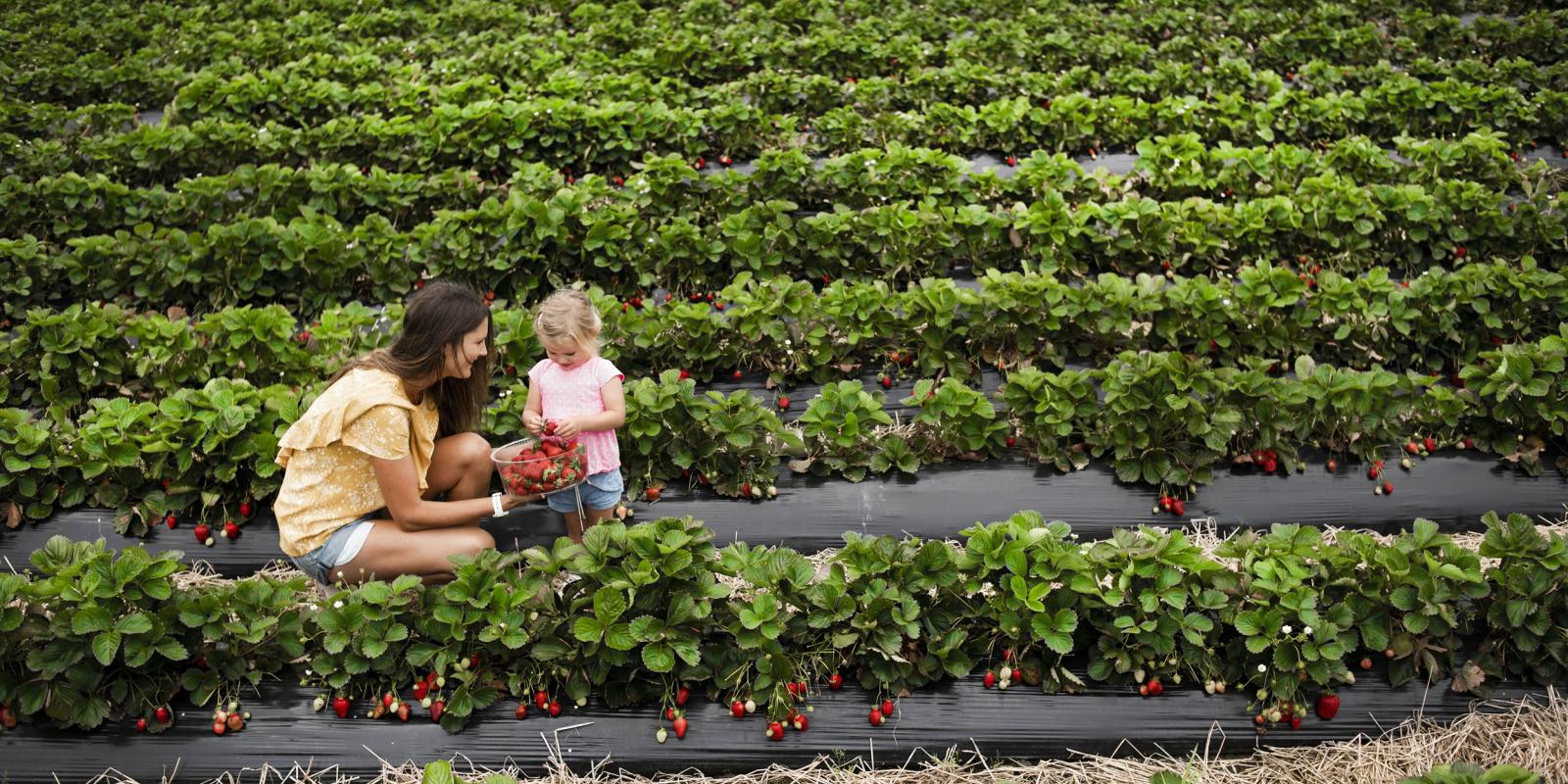 Boston to NYC by Road: How Long Does the Iconic East Coast Journey Really Take?