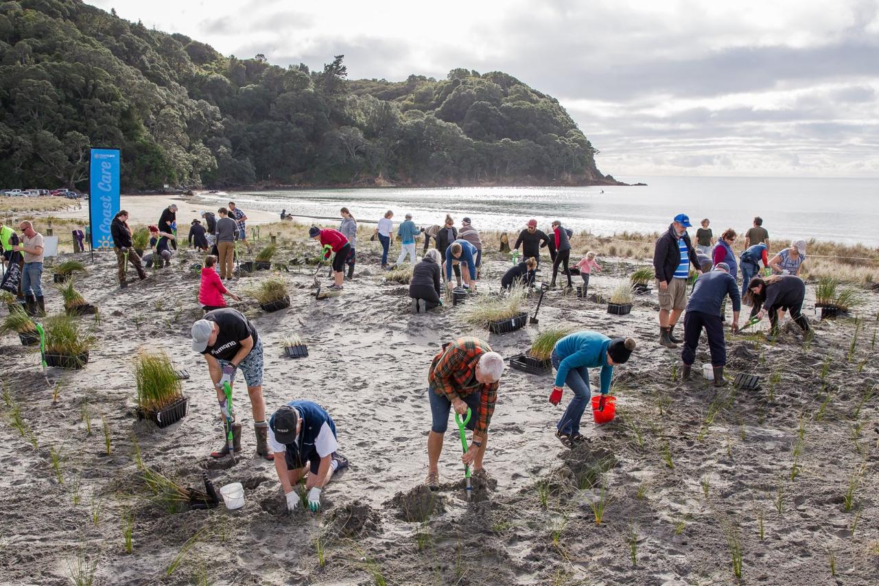 Dune Planting