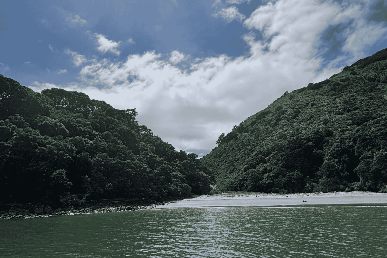 Moutohorā island 
