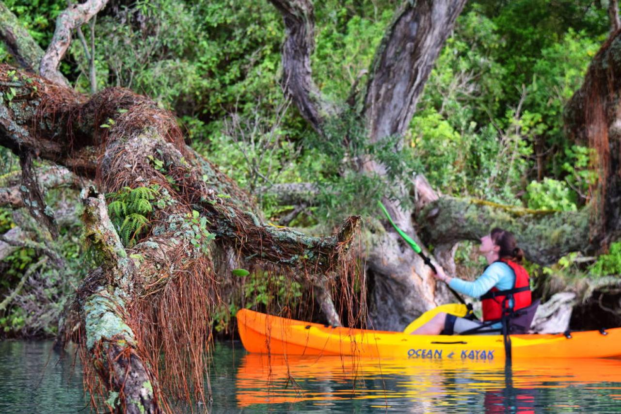 Kayaking on Ohiwa Harbour