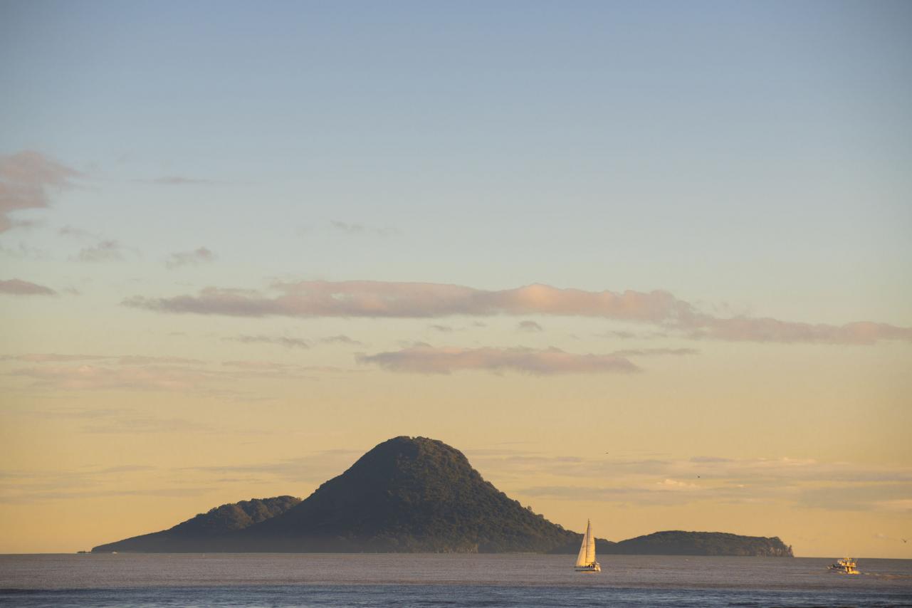 View of Moutohora at sunrise