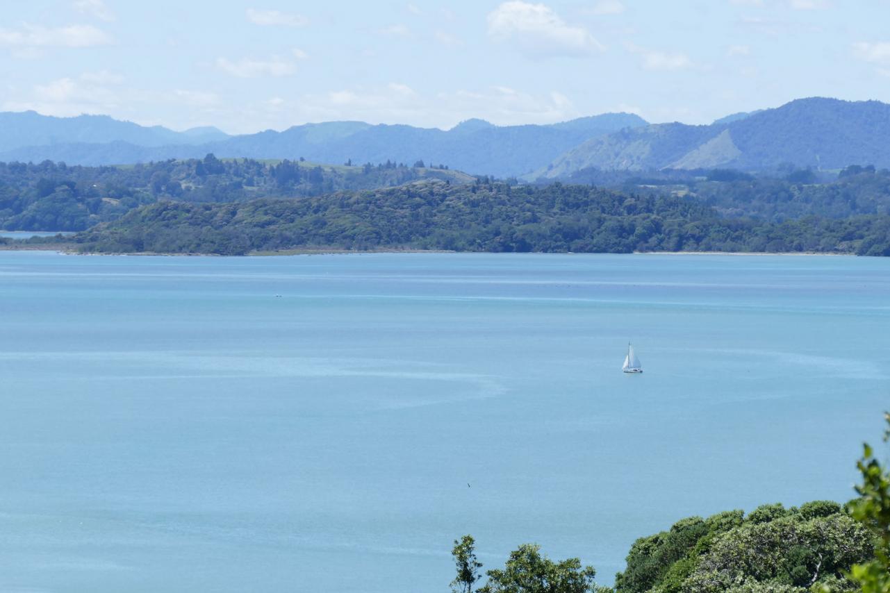 Sailing on Ohiwa Harbour