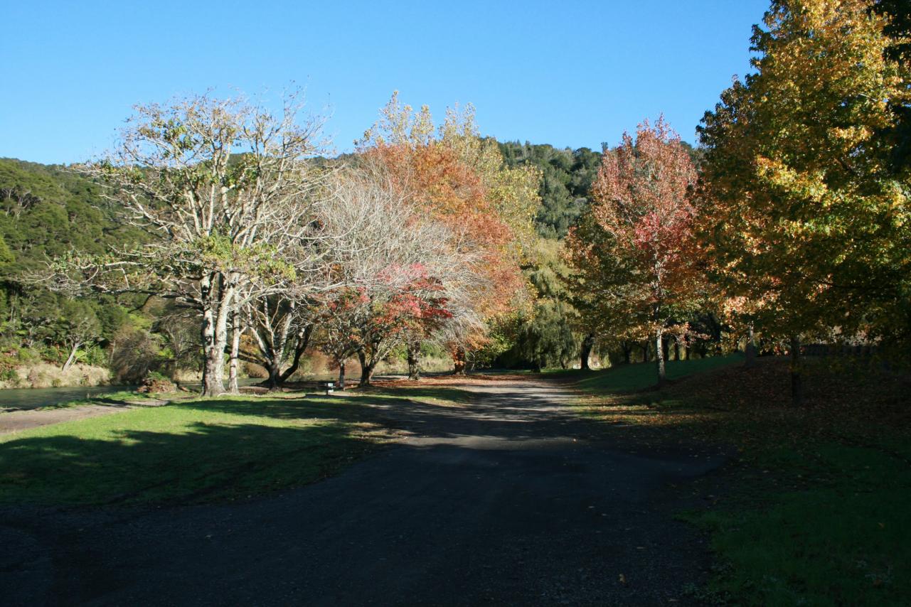 Waimana Gorge