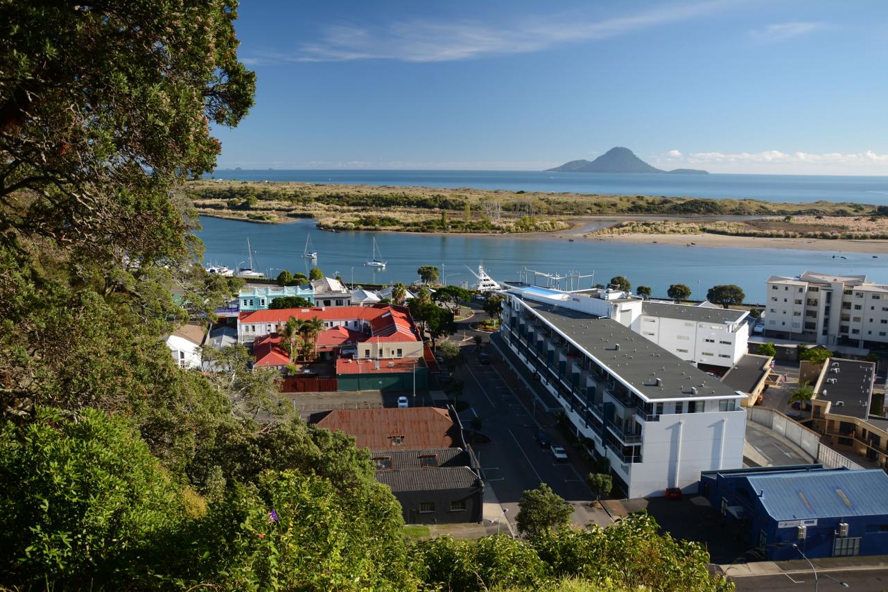 Whakatane Overlook