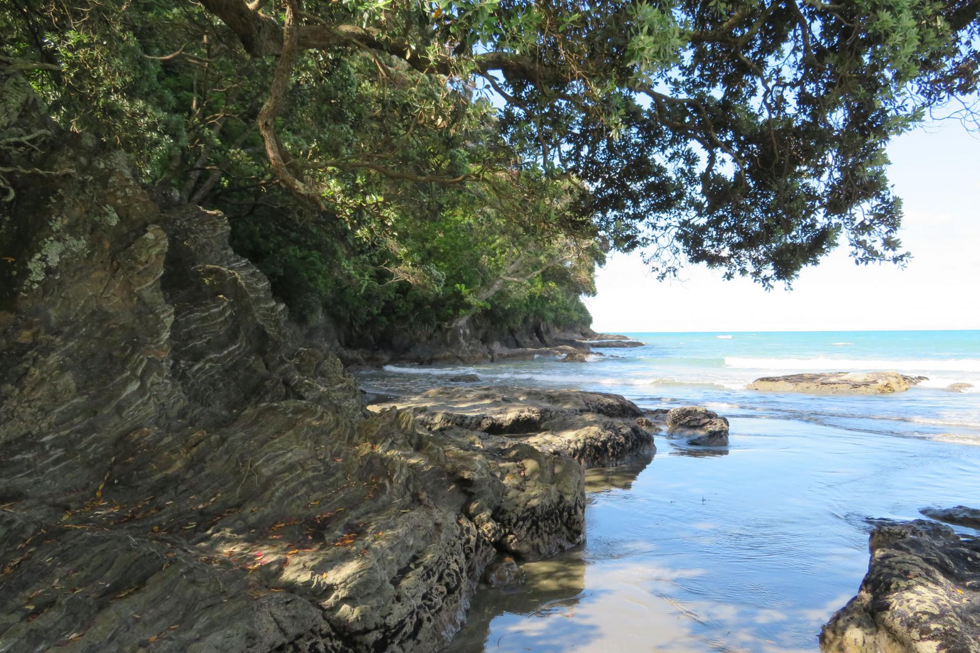 About the Whakatāne District Whakatāne NZ