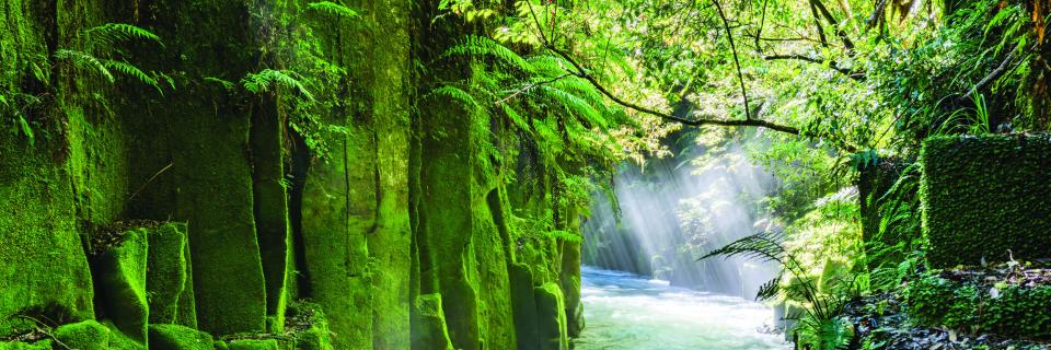 Te Whaiti Nui A Toi Canyon