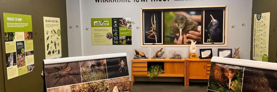 Kiwi Hub