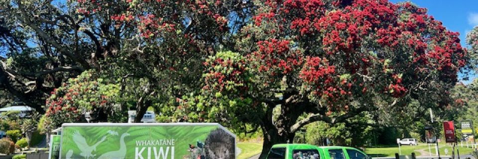 Whakatāne Kiwi Project Caravan