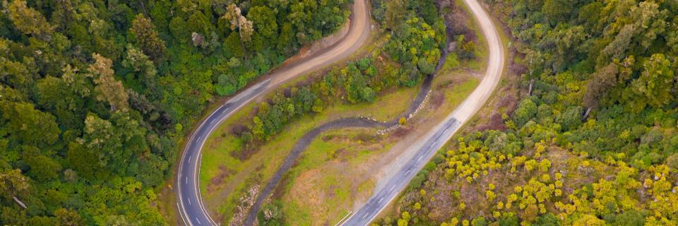 Te Urewera - Drone - BareKiwi