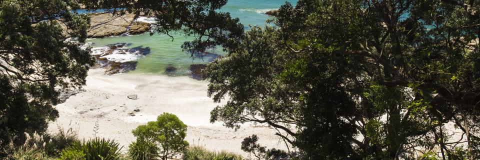 Walking access to Ōtarawairere Beach