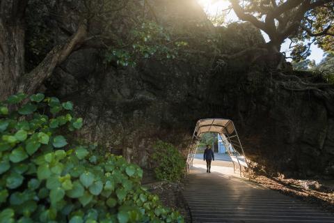 Person walking under Pohaturoa